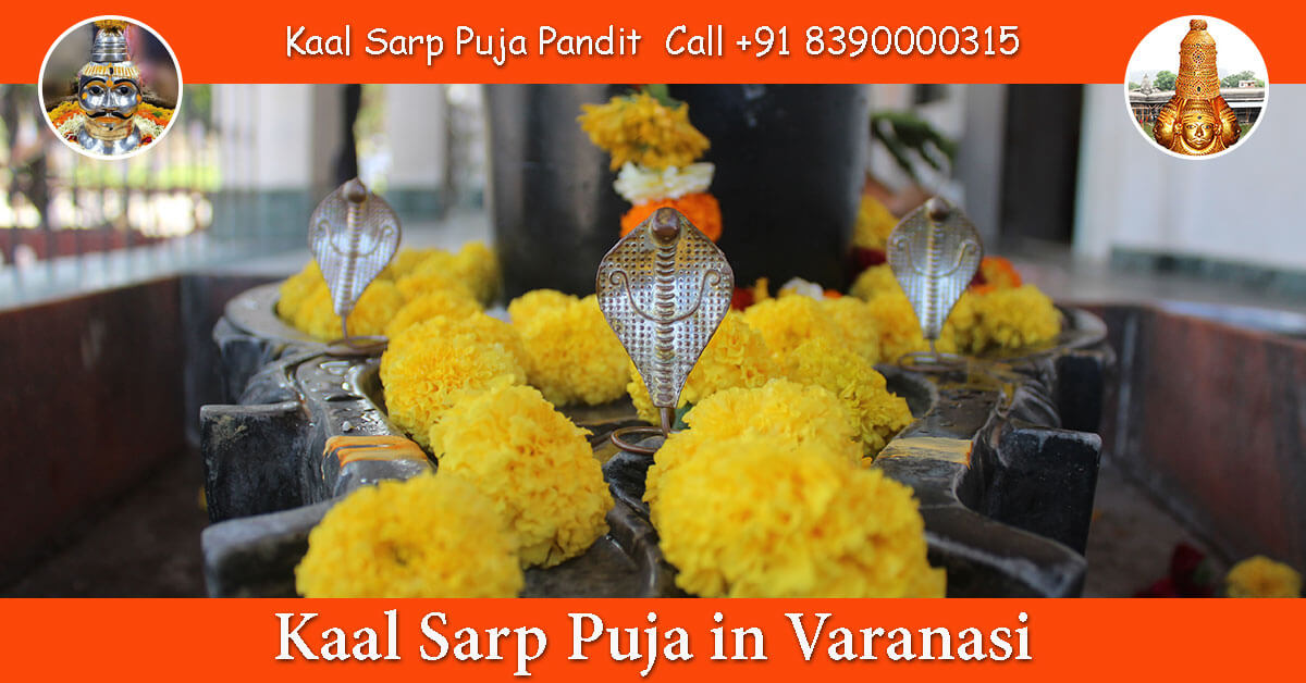 Kaalsarp Dosh Puja Varanasi