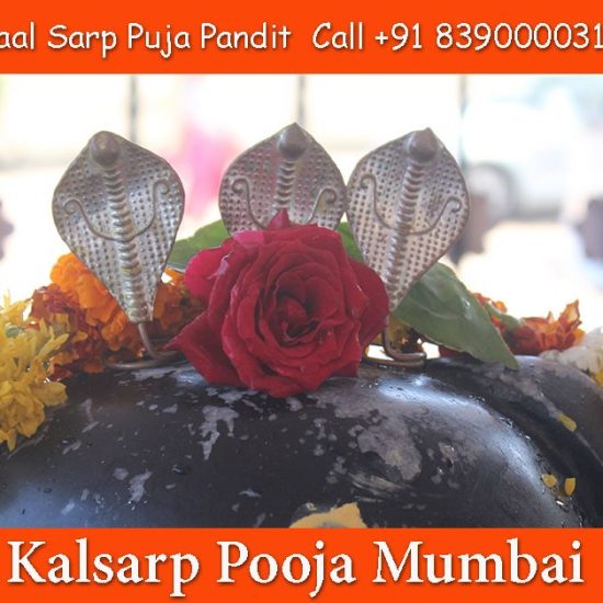 Kalsarp Pooja Mumbai
