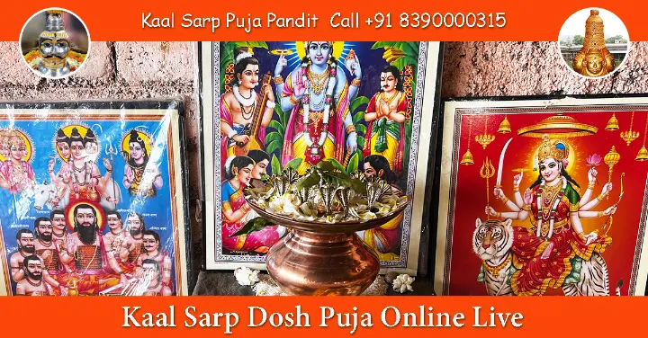 Kaal Sarp Dosh Puja Online Live