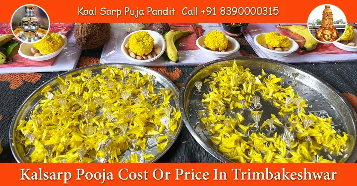 Kalsarp Pooja Cost Or Price In Trimbakeshwar
