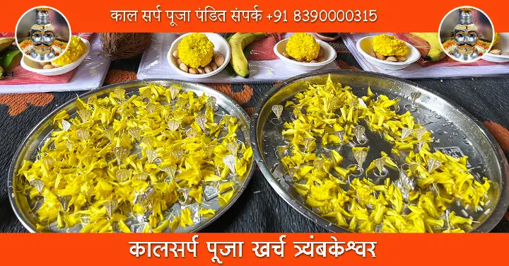 कालसर्प पूजा खर्च त्र्यंबकेश्वर