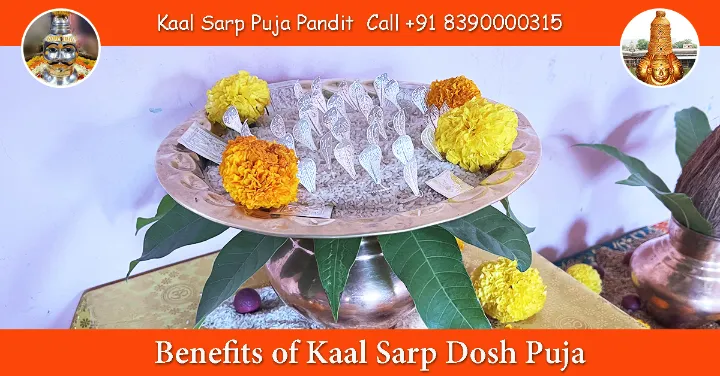 Benefits of Kaal Sarp Dosh Puja