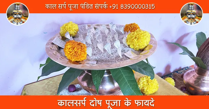 कालसर्प दोष पूजा के फायदे